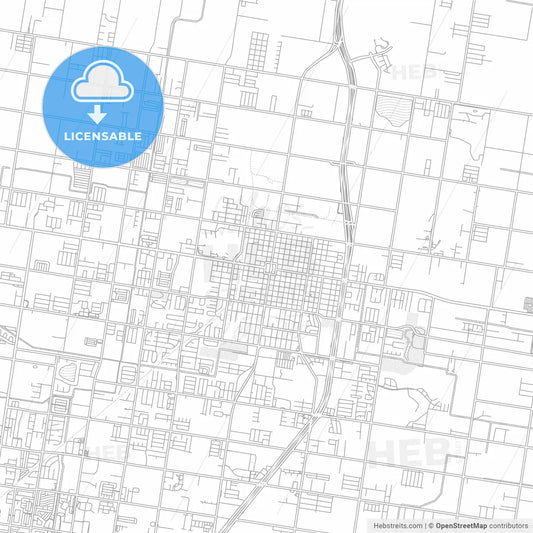 Edinburg, Texas, USA, bright outlined vector map