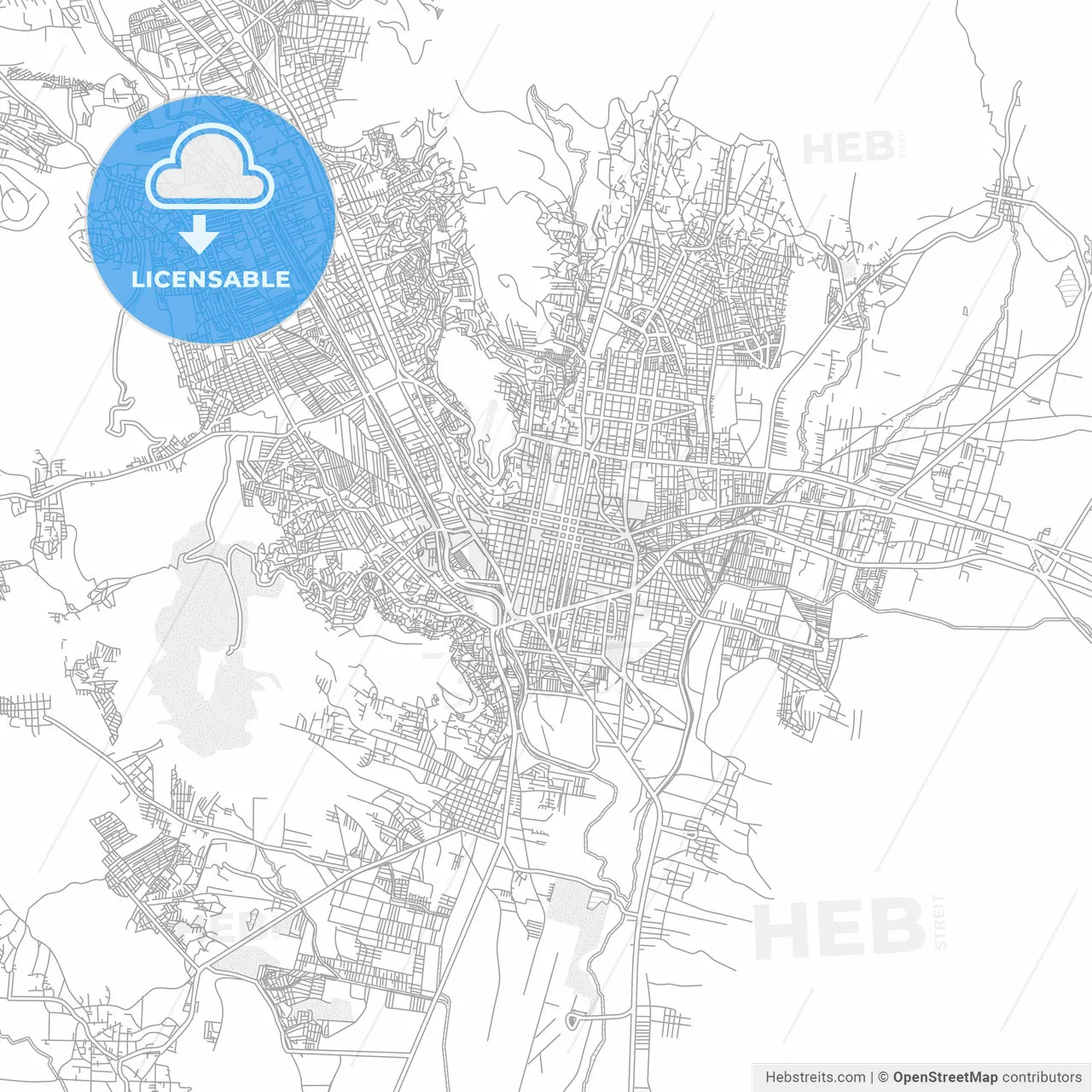 Oaxaca, Oaxaca, Mexico, bright outlined vector map