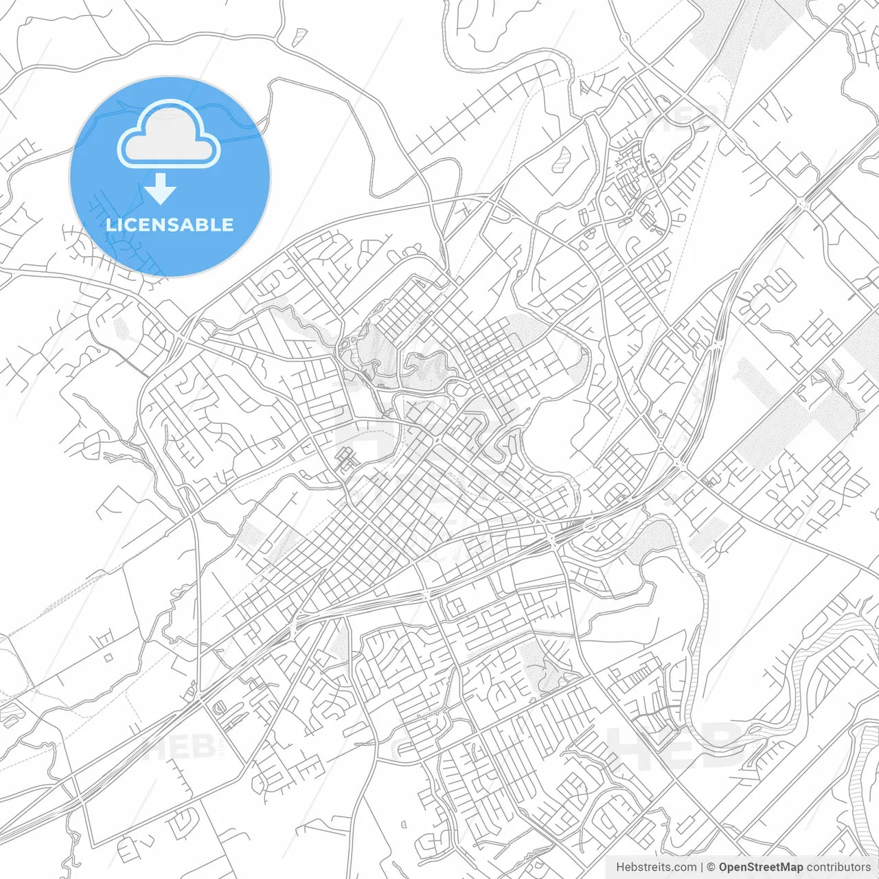 New Braunfels, Texas, USA, bright outlined vector map