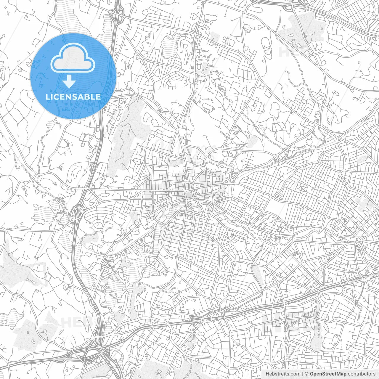 Waltham, Massachusetts, USA, bright outlined vector map