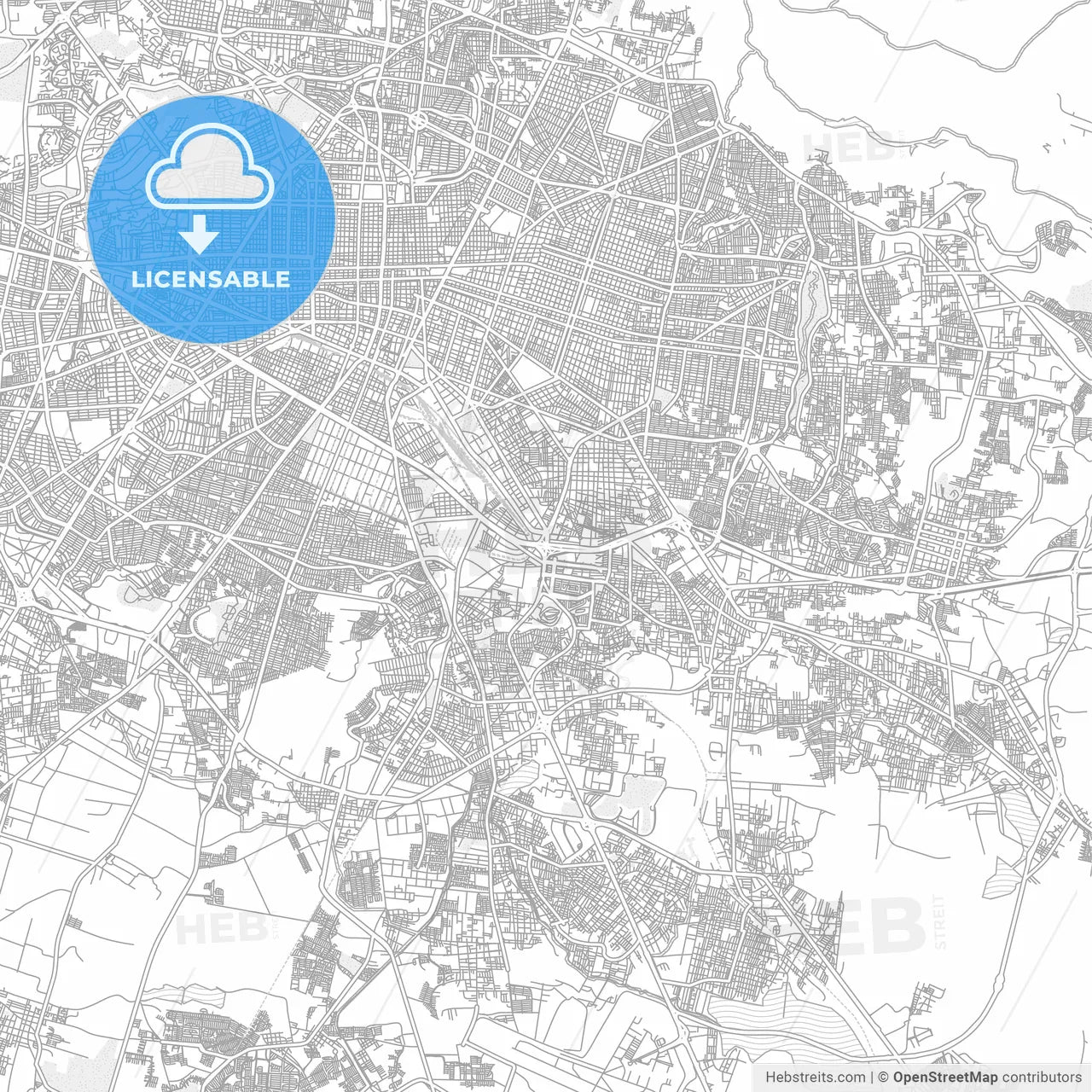 Tlaquepaque, Jalisco, Mexico, bright outlined vector map