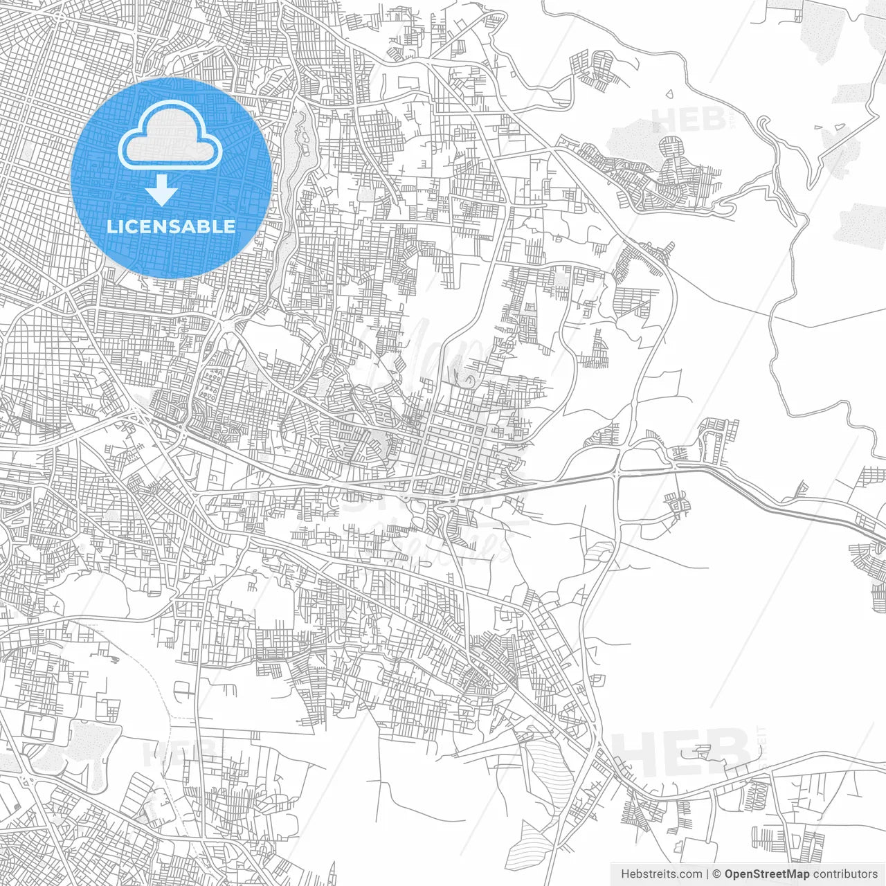 Tonalá, Jalisco, Mexico, bright outlined vector map