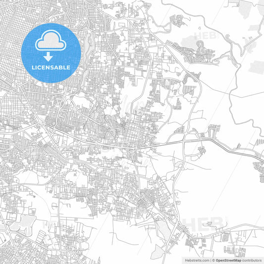 Tonalá, Jalisco, Mexico, bright outlined vector map