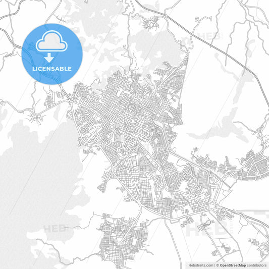 Tepic, Nayarit, Mexico, bright outlined vector map
