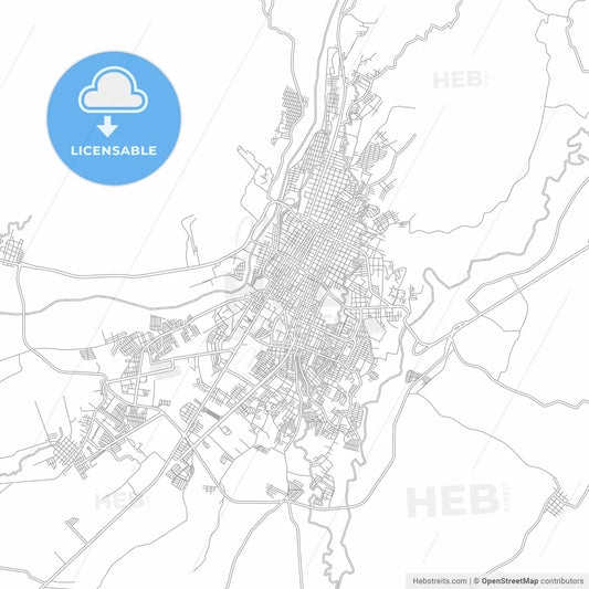 Tapachula, Chiapas, Mexico, bright outlined vector map