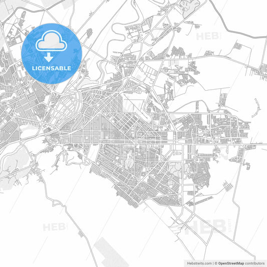 Torreón, Coahuila, Mexico, bright outlined vector map