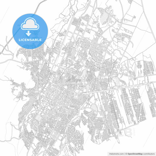 Saltillo, Coahuila, Mexico, bright outlined vector map