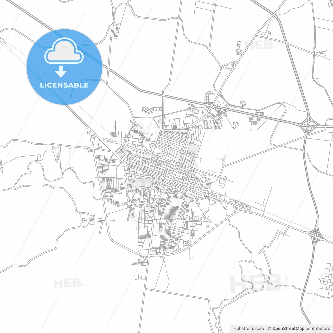 Salamanca, Guanajuato, Mexico, bright outlined vector map