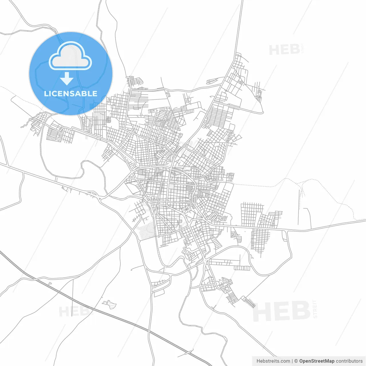 Ciudad Valles, San Luis Potosí, Mexico, bright outlined vector map