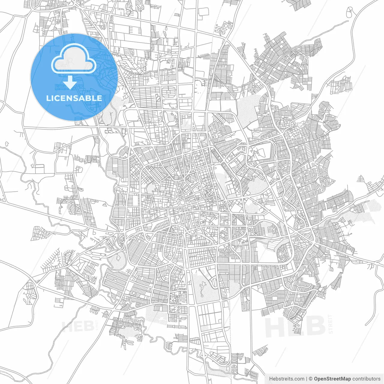 Aguascalientes, Aguascalientes, Mexico, bright outlined vector map