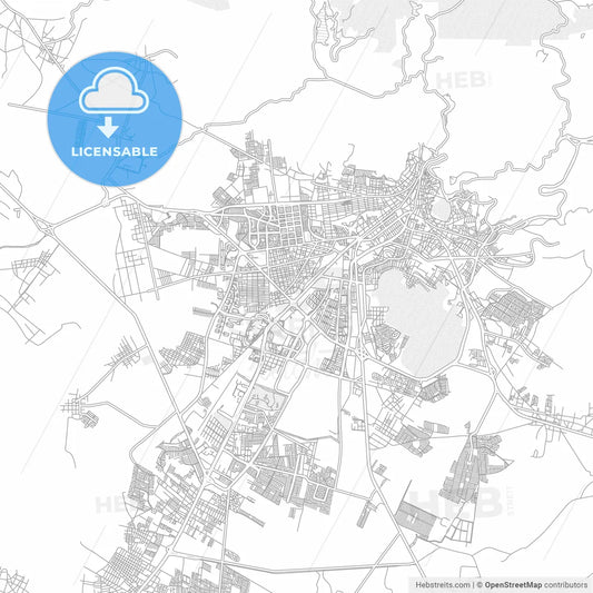 Pachuca, Hidalgo, Mexico, bright outlined vector map