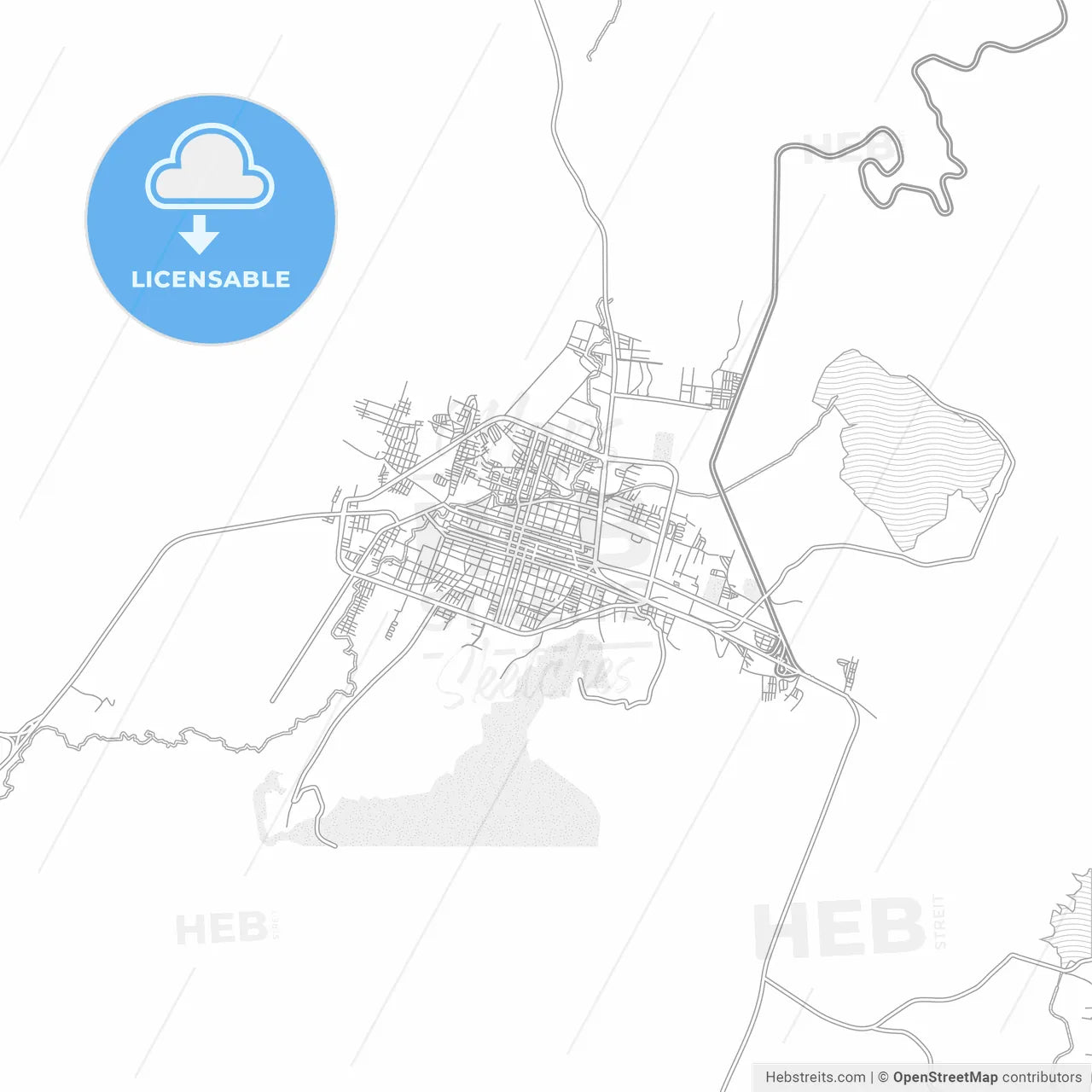 Iguala, Guerrero, Mexico, bright outlined vector map