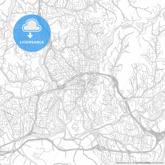 Asheville, North Carolina, USA, bright outlined vector map