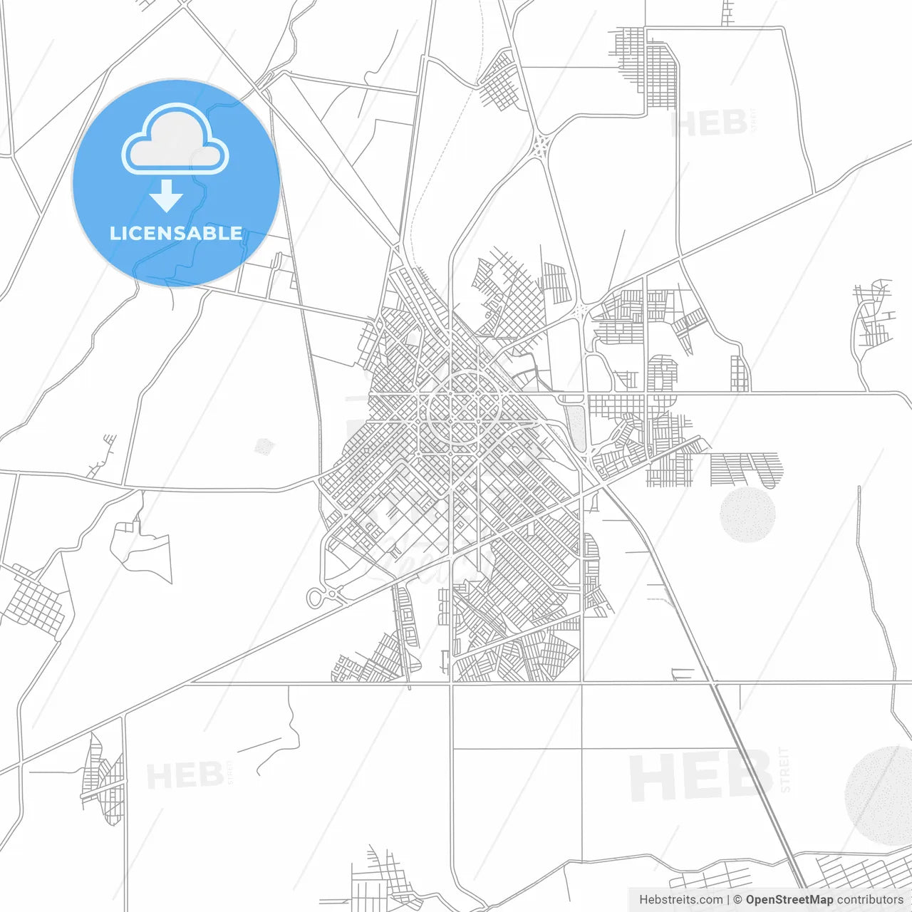 Delicias, Chihuahua, Mexico, bright outlined vector map
