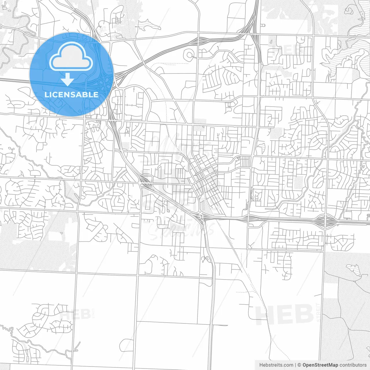 Lees Summit, Missouri, USA, bright outlined vector map