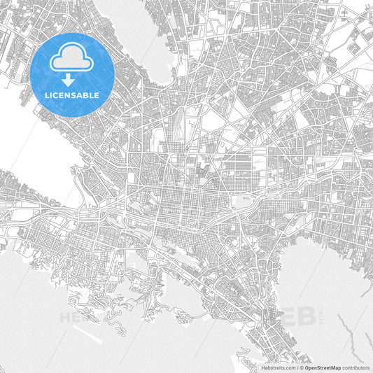 Monterrey, Nuevo León, Mexico, bright outlined vector map