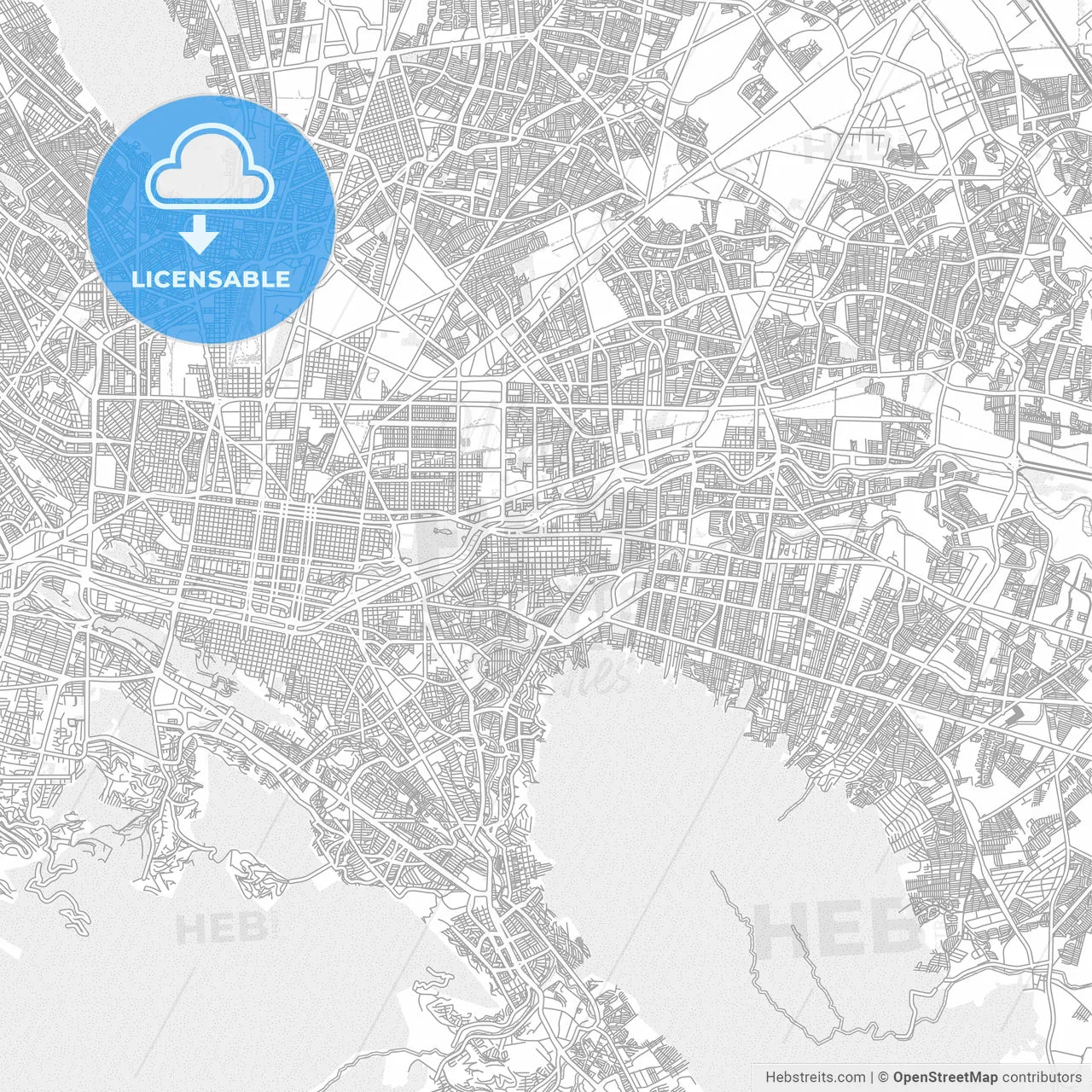 Guadalupe, Nuevo León, Mexico, bright outlined vector map