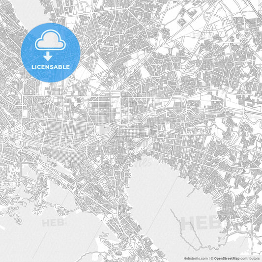 Guadalupe, Nuevo León, Mexico, bright outlined vector map
