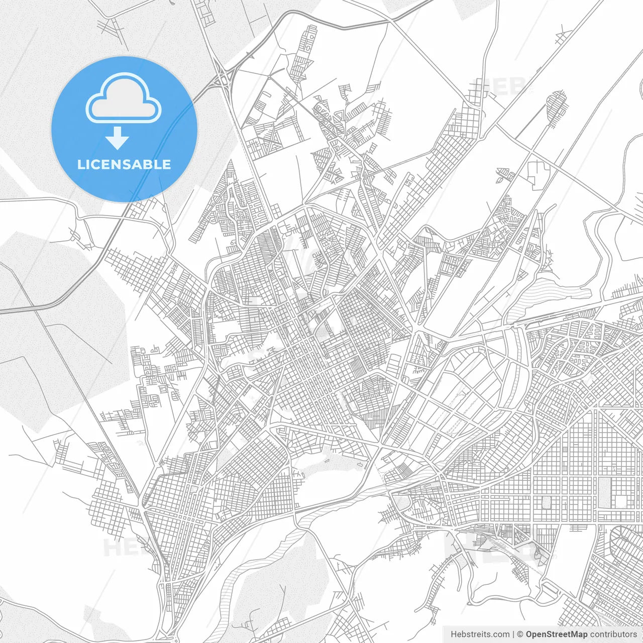 Gómez Palacio, Durango, Mexico, bright outlined vector map