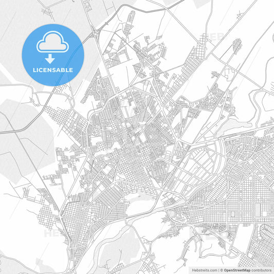 Gómez Palacio, Durango, Mexico, bright outlined vector map