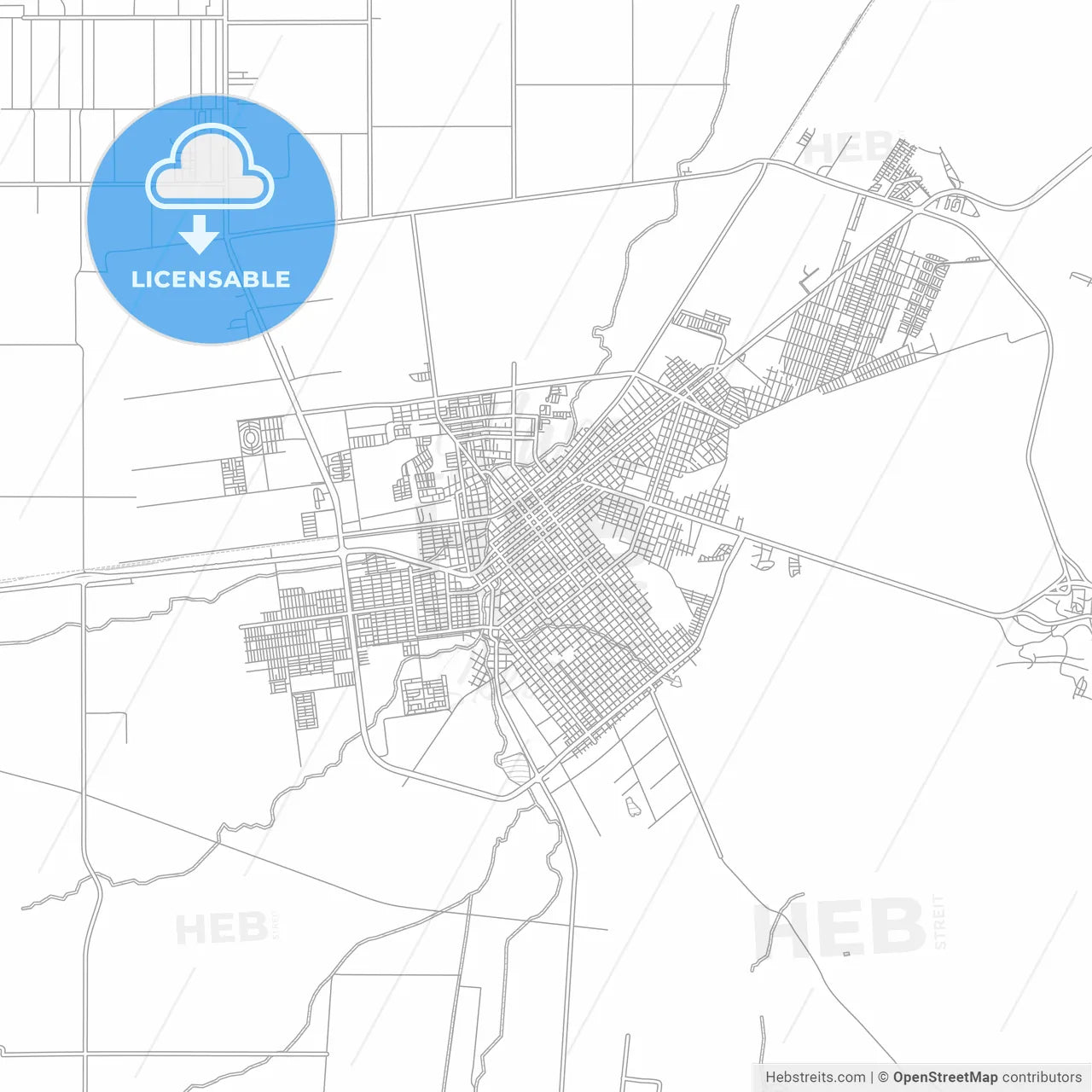 Ciudad Cuauhtémoc, Chihuahua, Mexico, bright outlined vector map