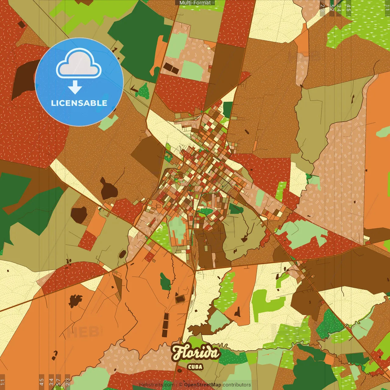 Florida Cuba Farmhouse Poster Art Map Template