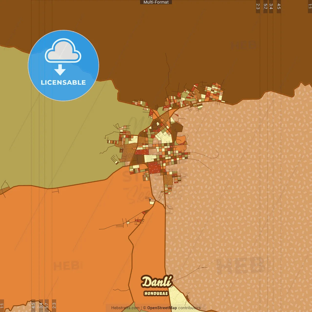Danlí Honduras Farmhouse Poster Art Map Template