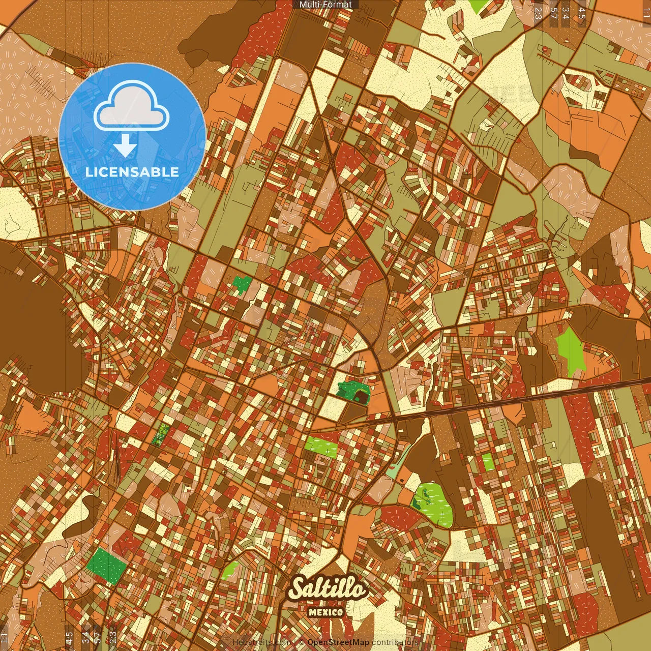 Saltillo Mexico Farmhouse Poster Art Map Template