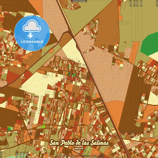 San Pablo de las Salinas Mexico Farmhouse Poster Art Map Template