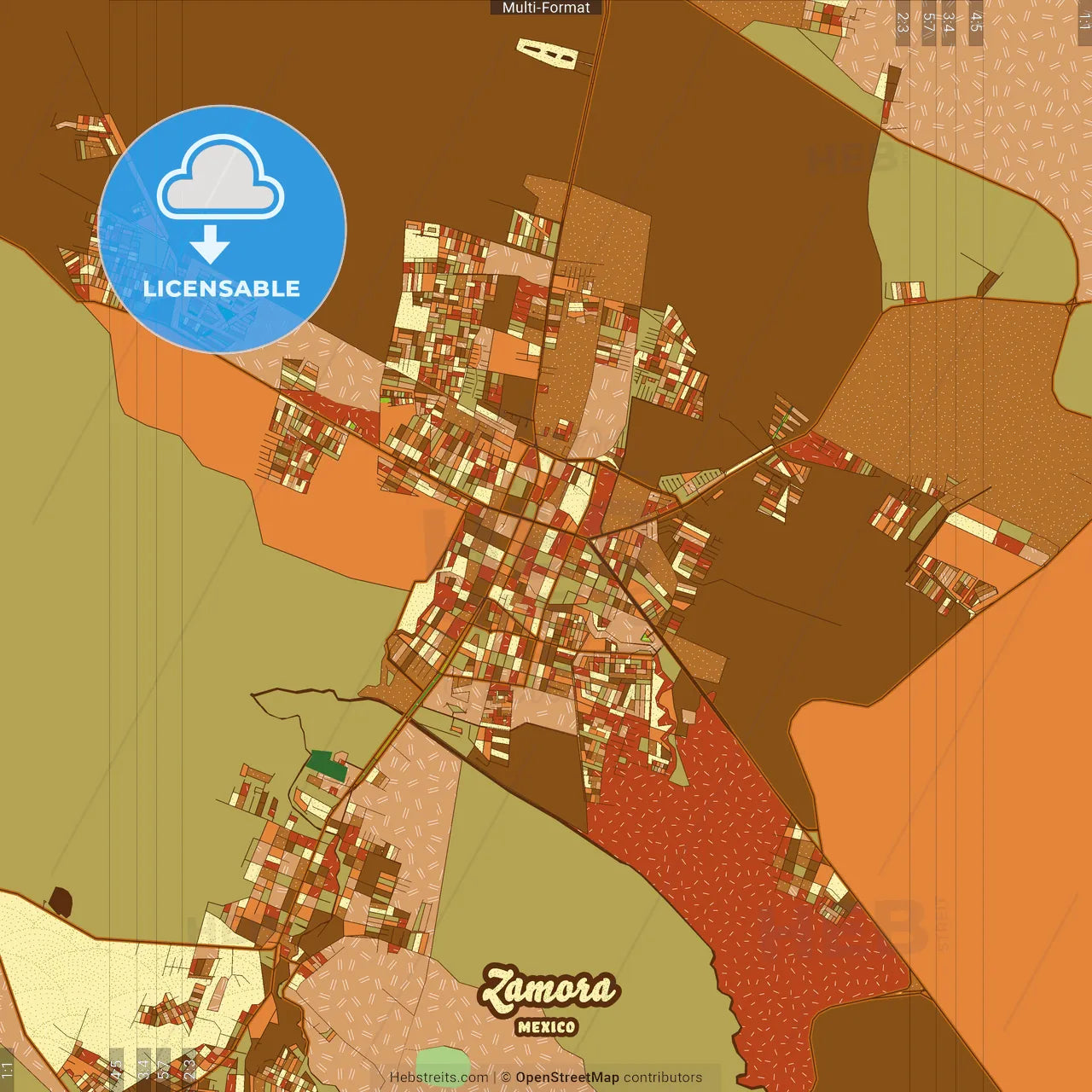 Zamora Mexico Farmhouse Poster Art Map Template