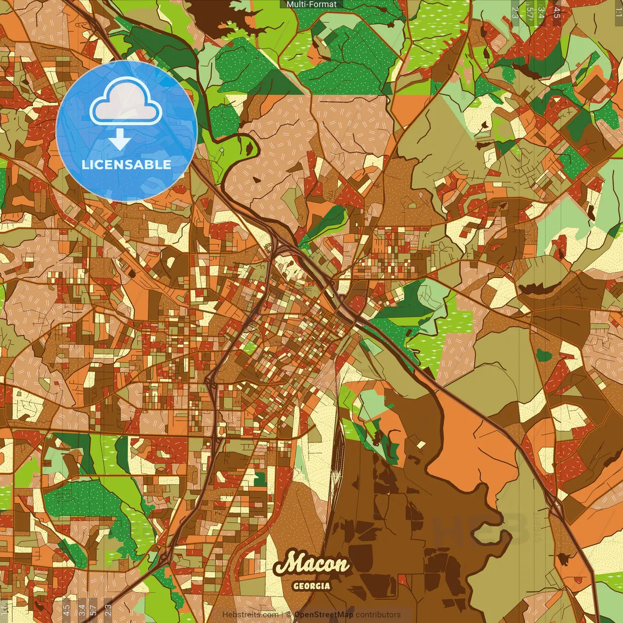 Macon Georgia Farmhouse Poster Art Map Template