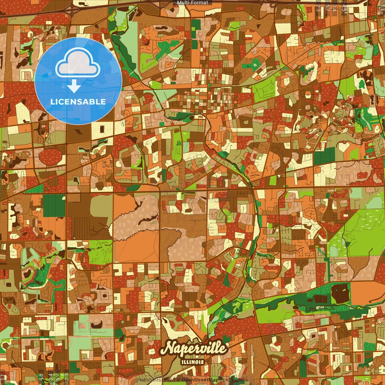 Naperville Illinois Farmhouse Poster Art Map Template