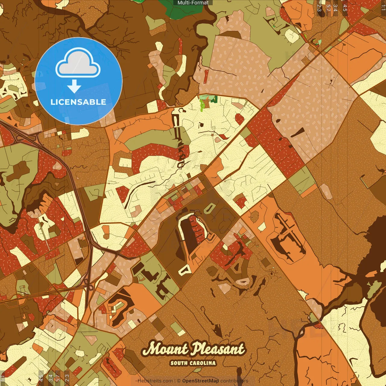 Mount Pleasant South Carolina Farmhouse Poster Art Map Template