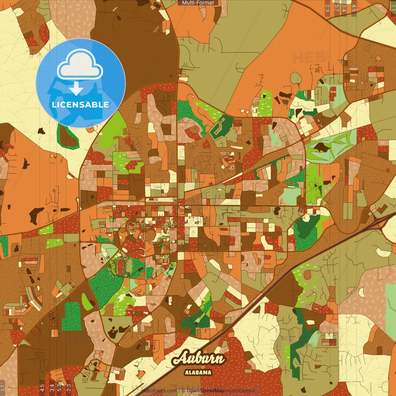 Auburn Alabama Farmhouse Poster Art Map Template