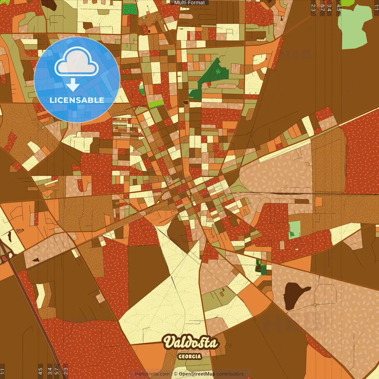 Valdosta Georgia Farmhouse Poster Art Map Template