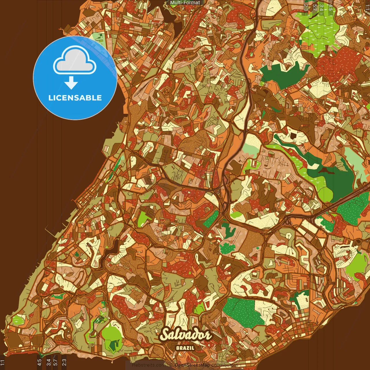 Salvador Brazil Farmhouse Poster Art Map Template