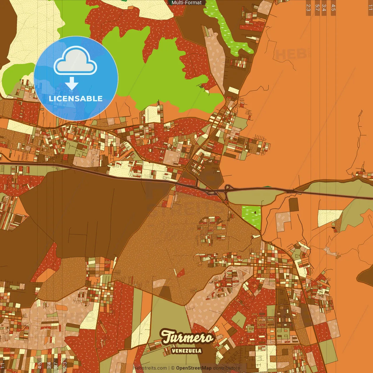 Turmero Venezuela Farmhouse Poster Art Map Template