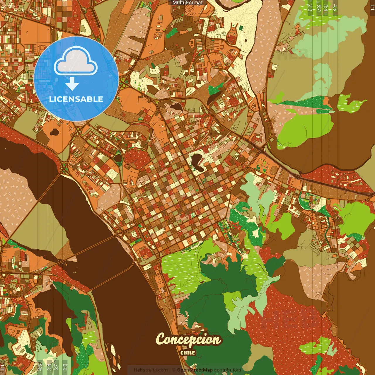 Concepcion Chile Farmhouse Poster Art Map Template