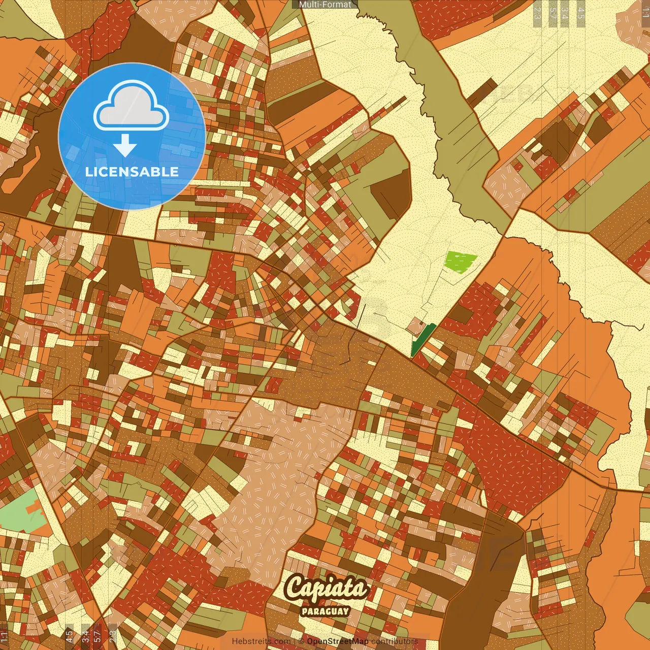 Capiata Paraguay Farmhouse Poster Art Map Template