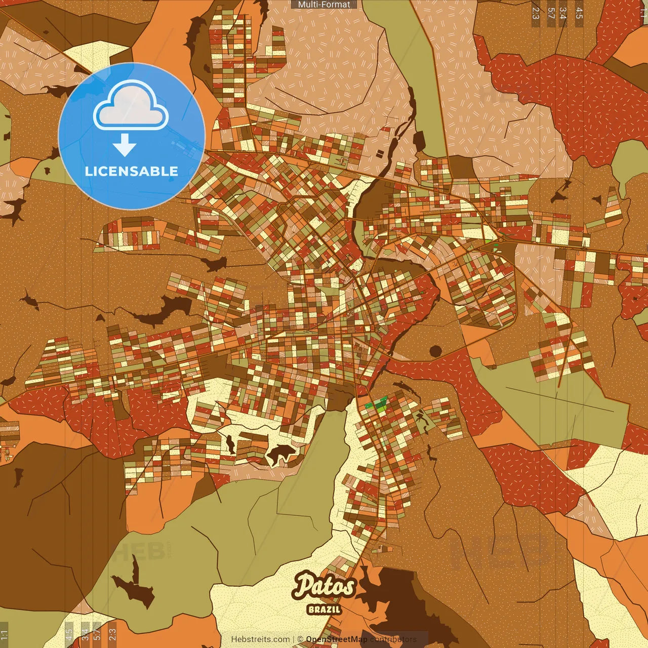 Patos Brazil Farmhouse Poster Art Map Template