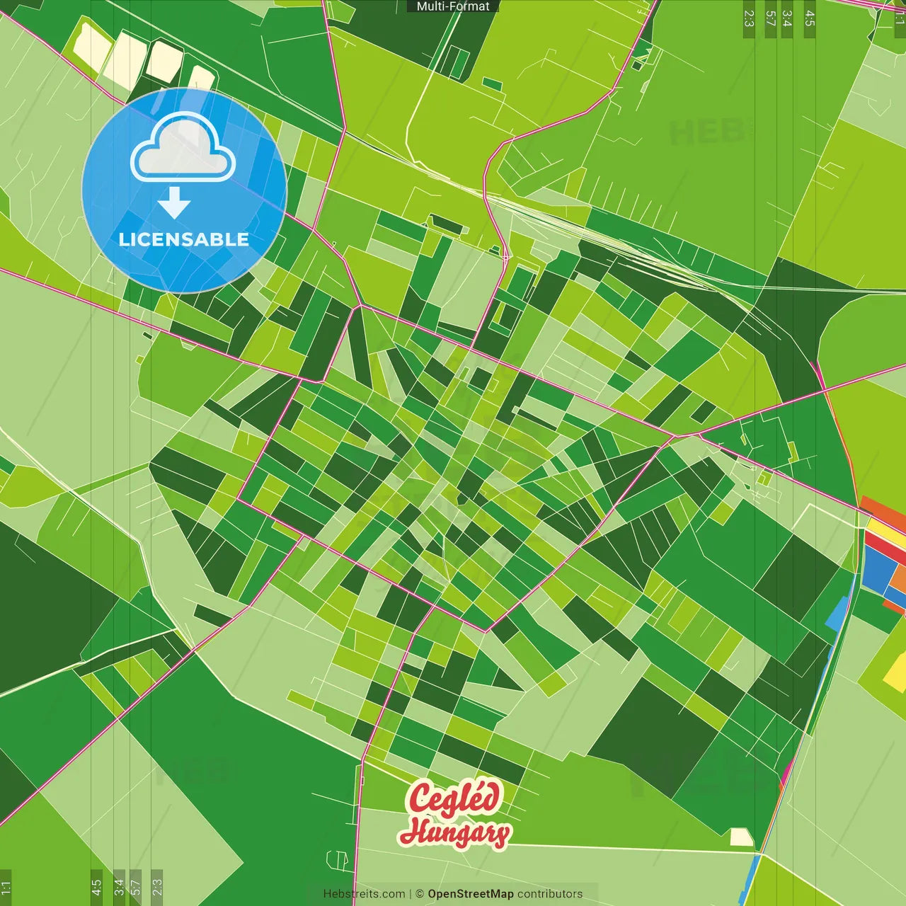 Cegléd, Pest, Hungary Crazy Colorful Street Map Poster Template