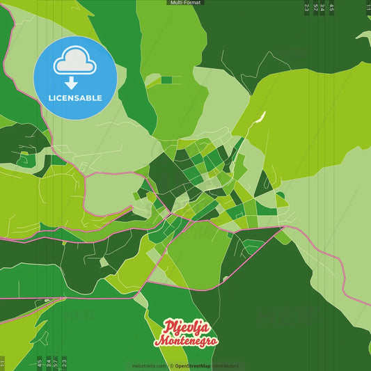 Pljevlja, Northern, Montenegro Crazy Colorful Street Map Poster Template
