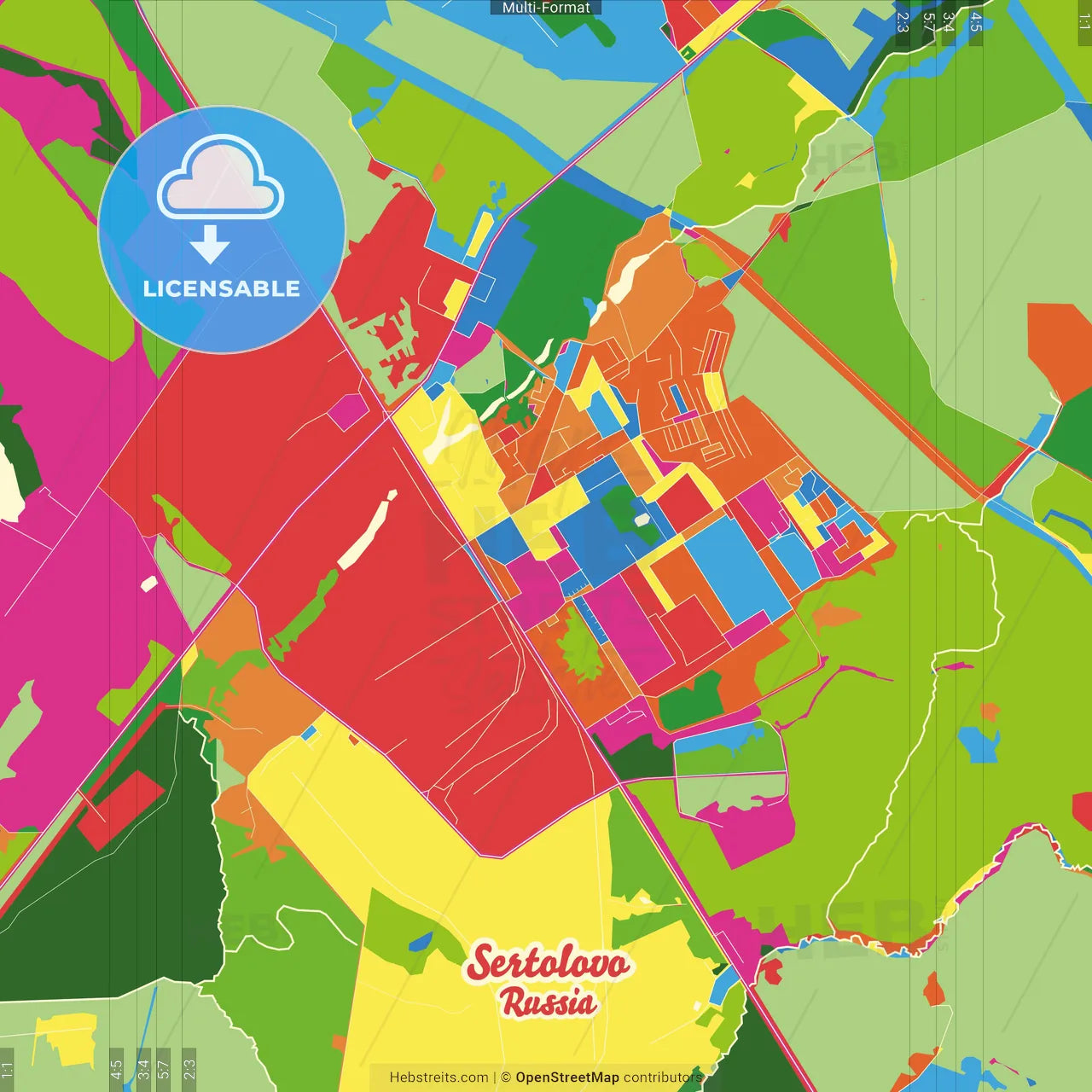 Sertolovo, Leningrad Oblast, Russia Crazy Colorful Street Map Poster Template