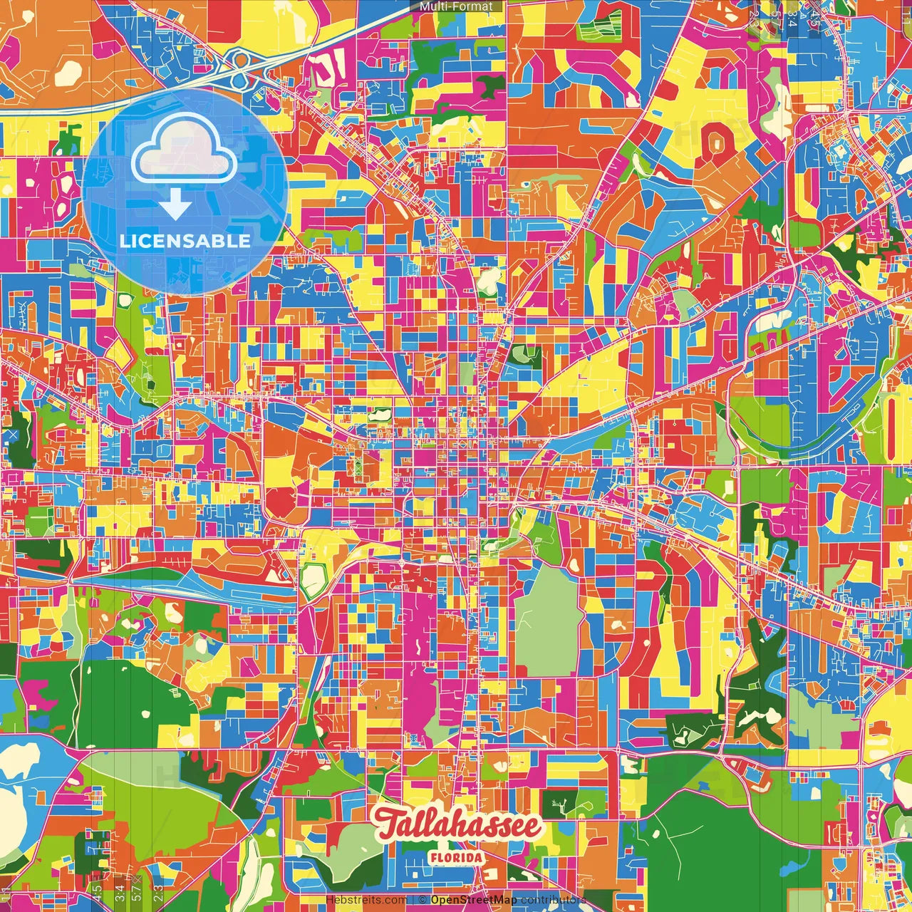 Tallahassee, Florida, United States Crazy Colorful Street Map Poster Template