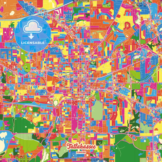 Tallahassee, Florida, United States Crazy Colorful Street Map Poster Template
