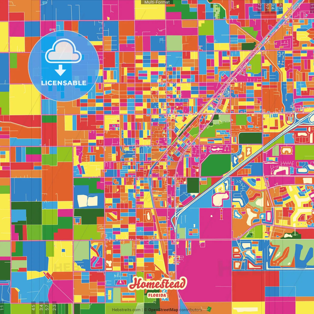 Homestead, Florida, United States Crazy Colorful Street Map Poster Template