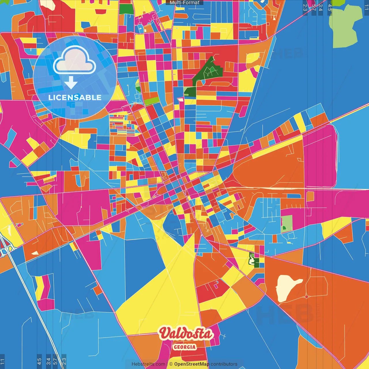 Valdosta, Georgia, United States Crazy Colorful Street Map Poster Template