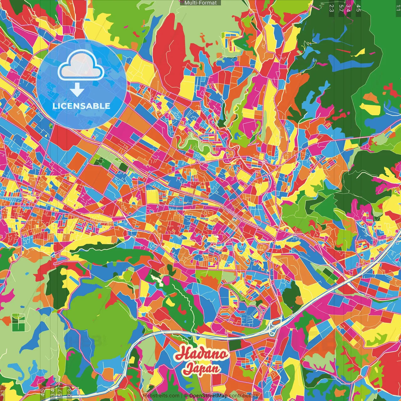 Hadano, Kanagawa, Japan Crazy Colorful Street Map Poster Template