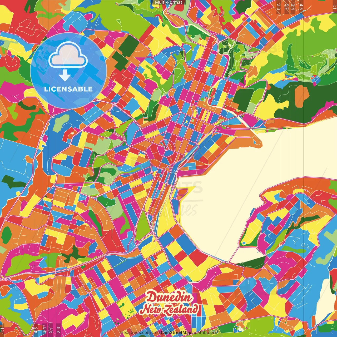 Dunedin, New Zealand Crazy Colorful Street Map Poster Template