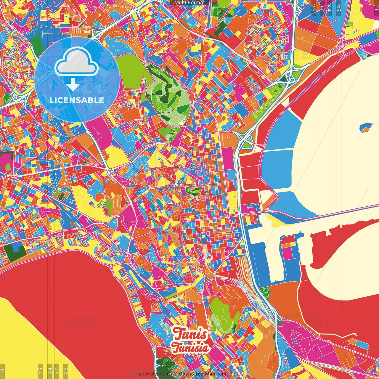 Tunis, Tunisia Crazy Colorful Street Map Poster Template